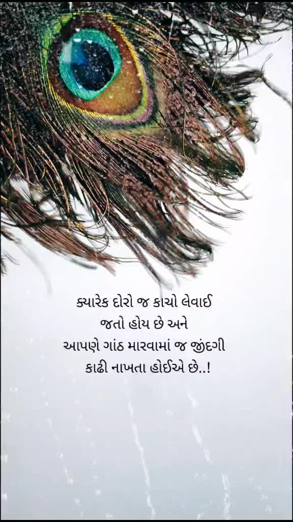 @Vishank Patel💕