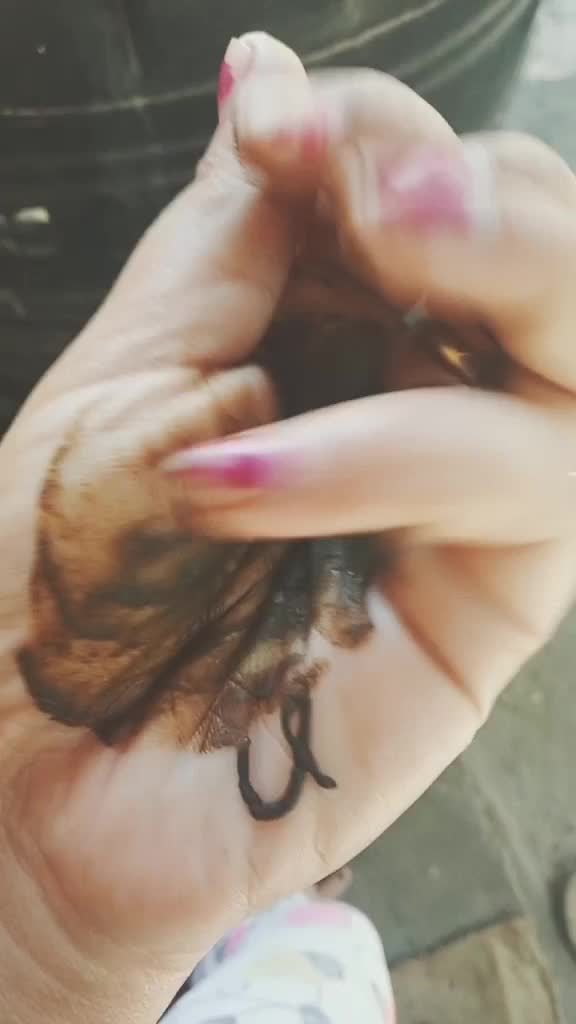 @user202880