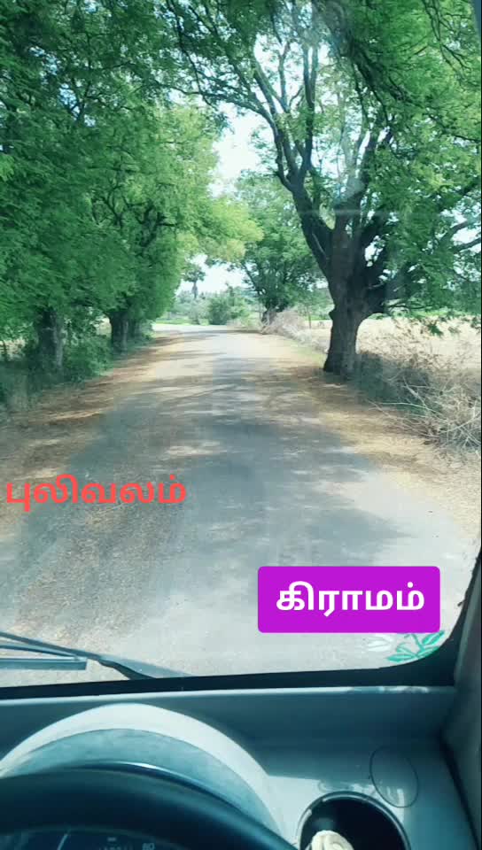 @use 8098