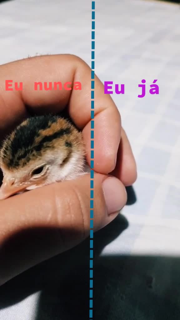 @S&ocirc;nia Regina
