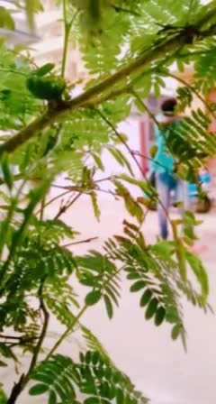 @👑Mr_Omprakash👑