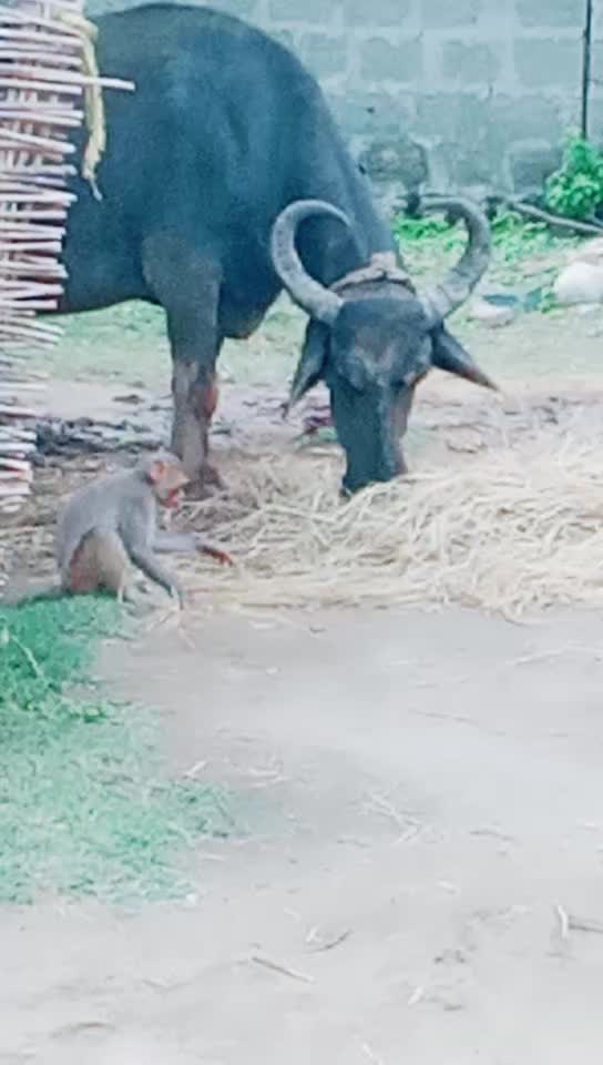 @pushpalatha 143
