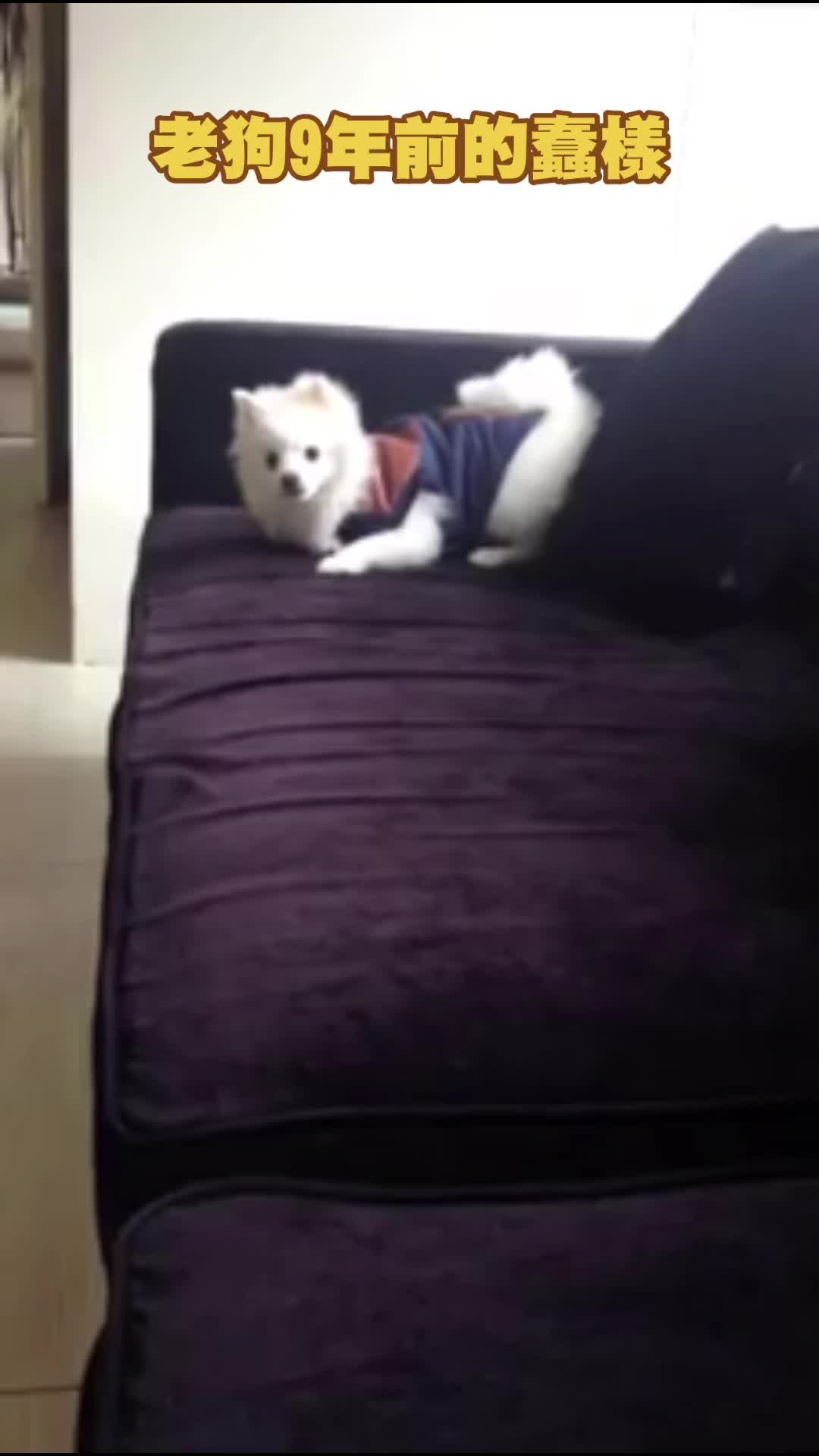 @瘋一樣的男子