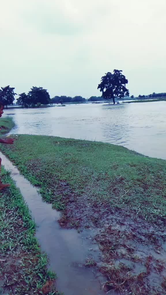 @सद्दाम बाबू कोचाधामन