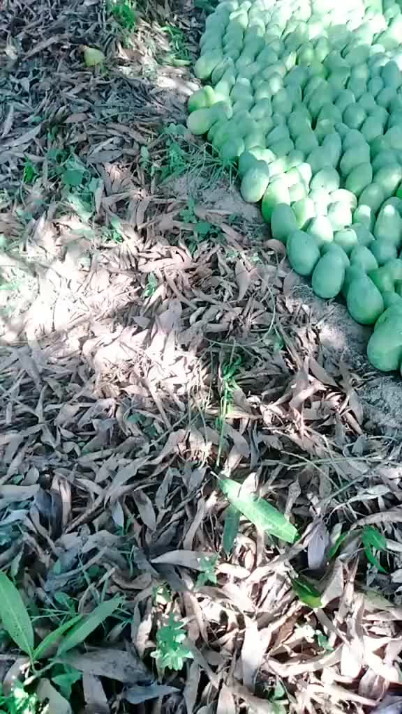 @123456789