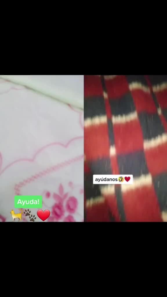 @Lunaticktokera
