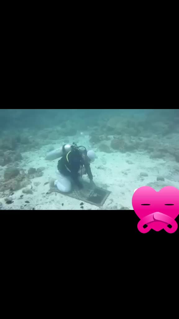 @Riyasat6070
