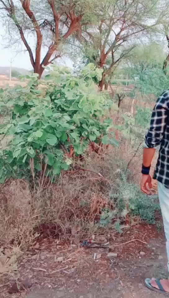 @vishnukumar