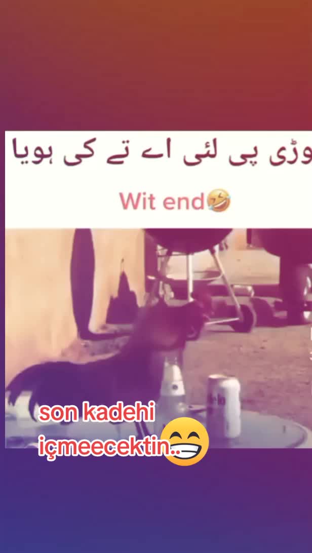 @Asmemocan Official
