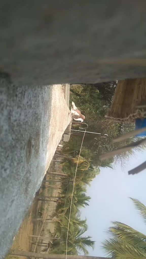 @Ajith Pkm