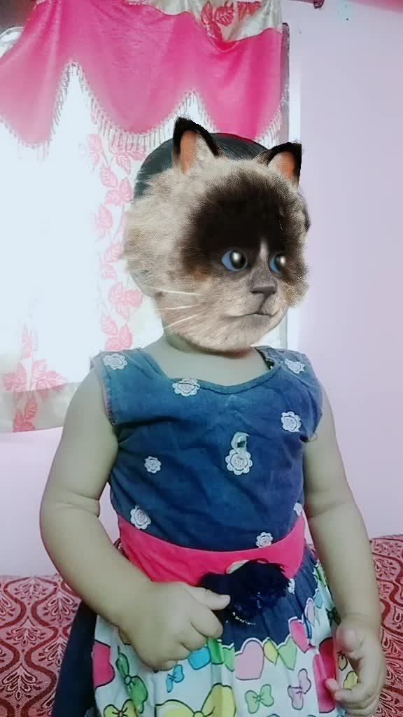 @puji