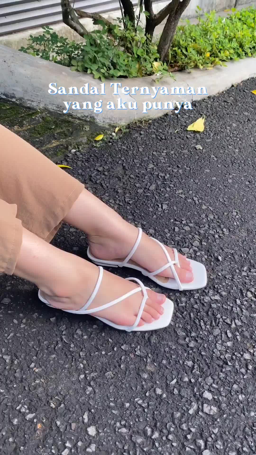 @AMAZEUS
