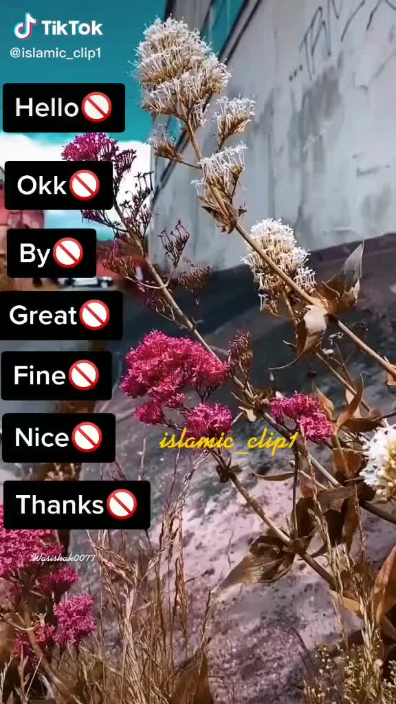 @ʀᴏκᴇᶰ᭄ᴮᴼʏ◢࿐