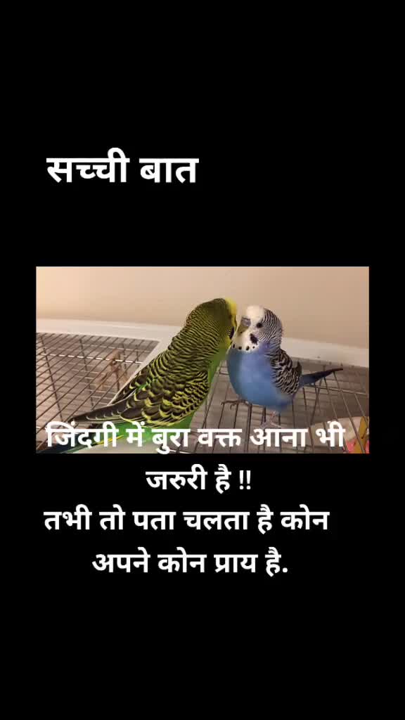 @Rahul Pawar