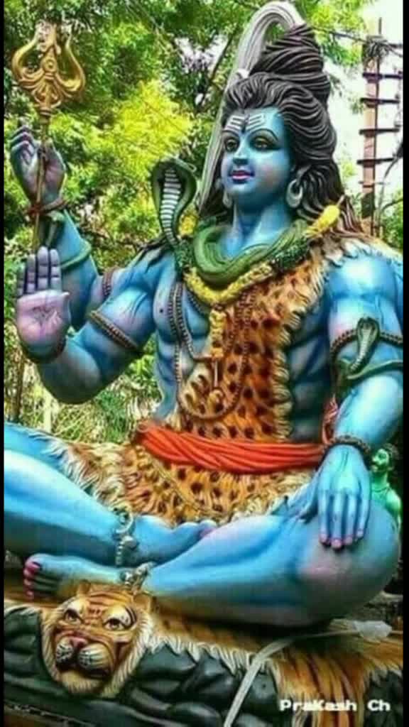 @user3037759525598