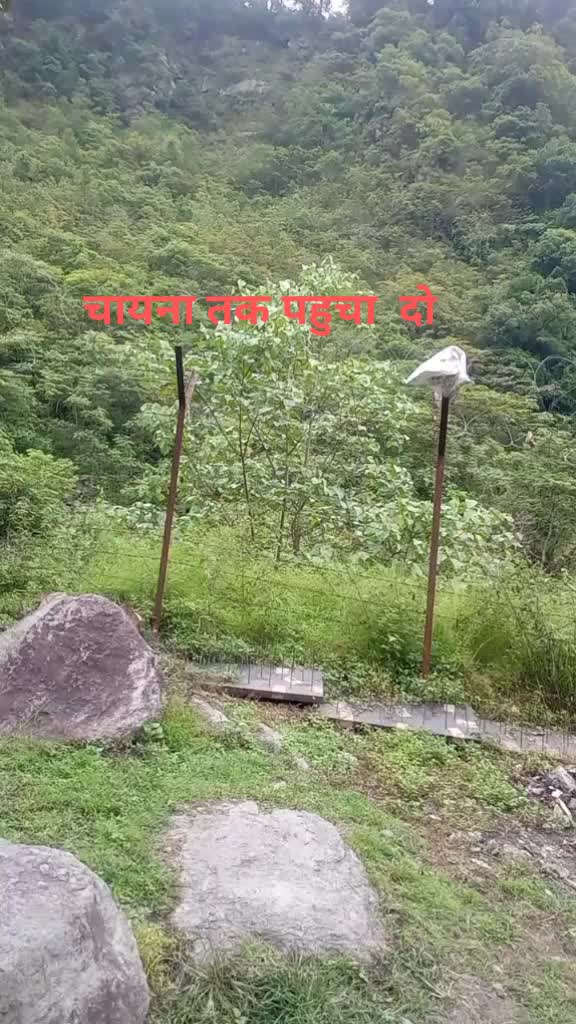 @vikas nakade