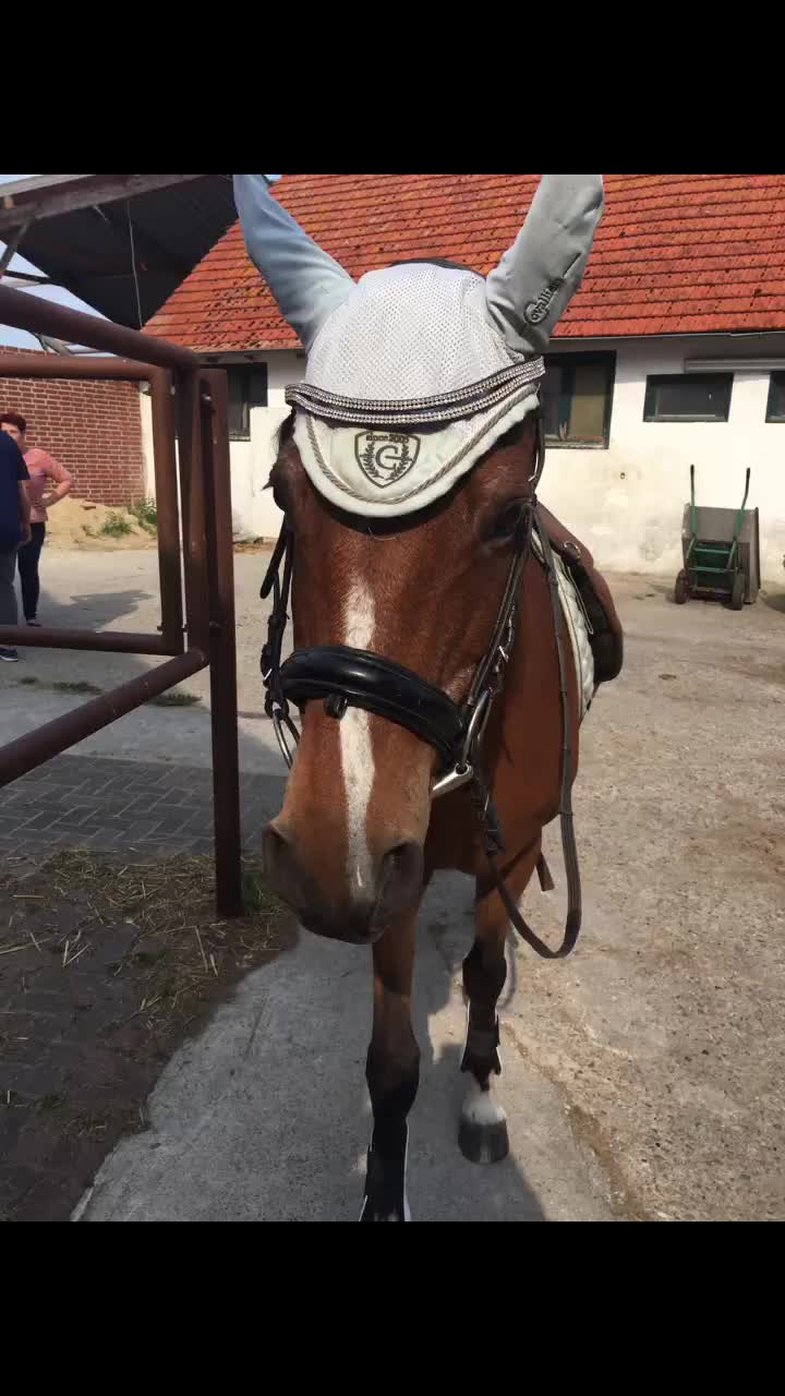 @Nina