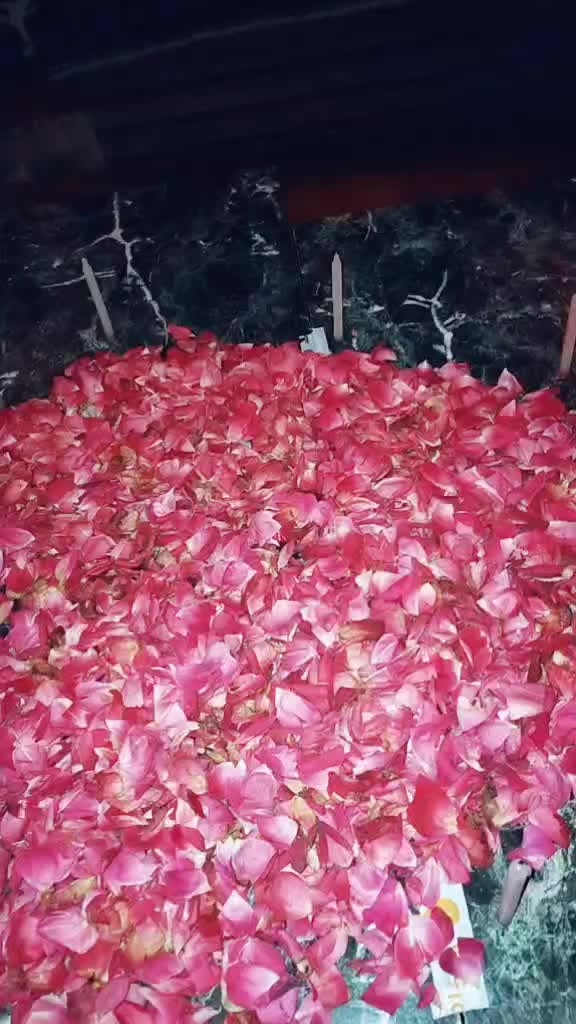 @PriShu