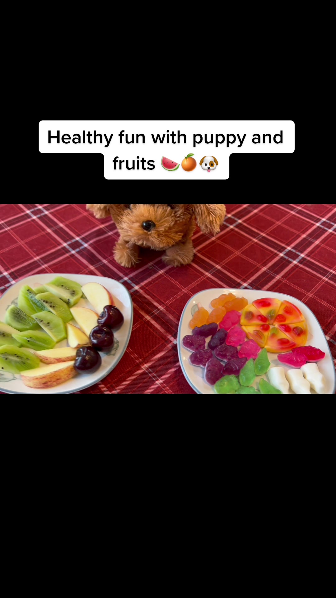 @Fun with Puppy