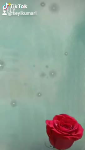 @user5014391607681