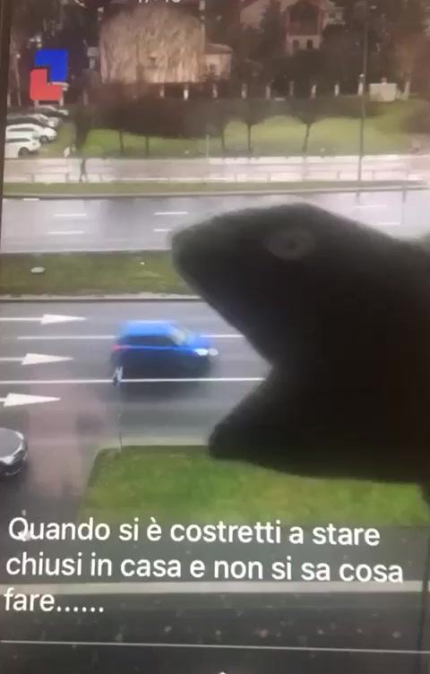 @Monica Morini