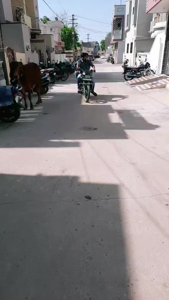 @Shivraj Sinh Jethwa