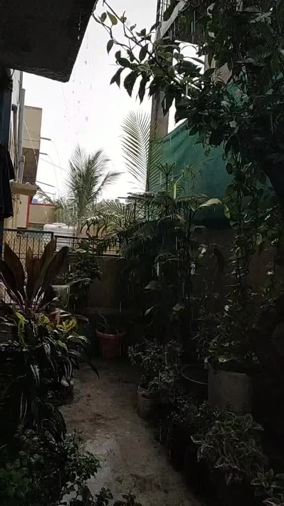 @shwet.🖤