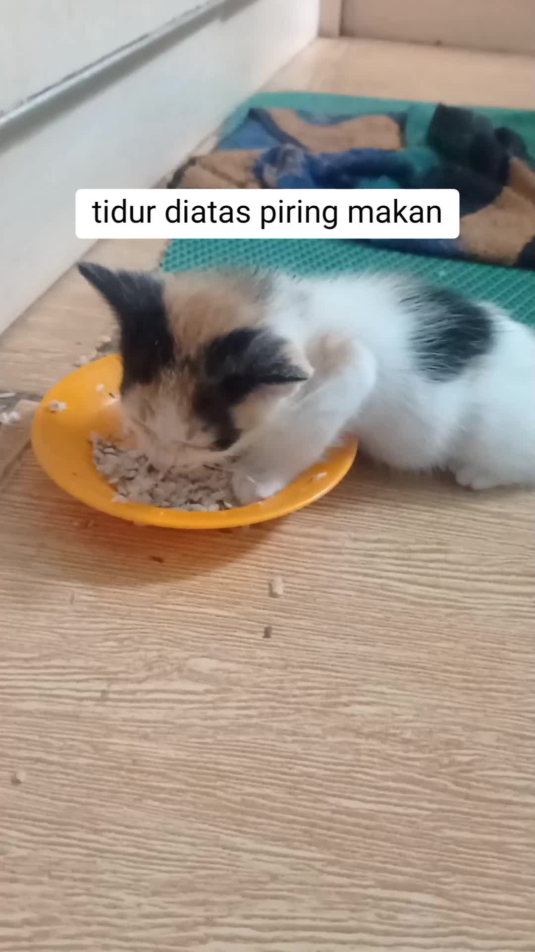 @M. Fajrin