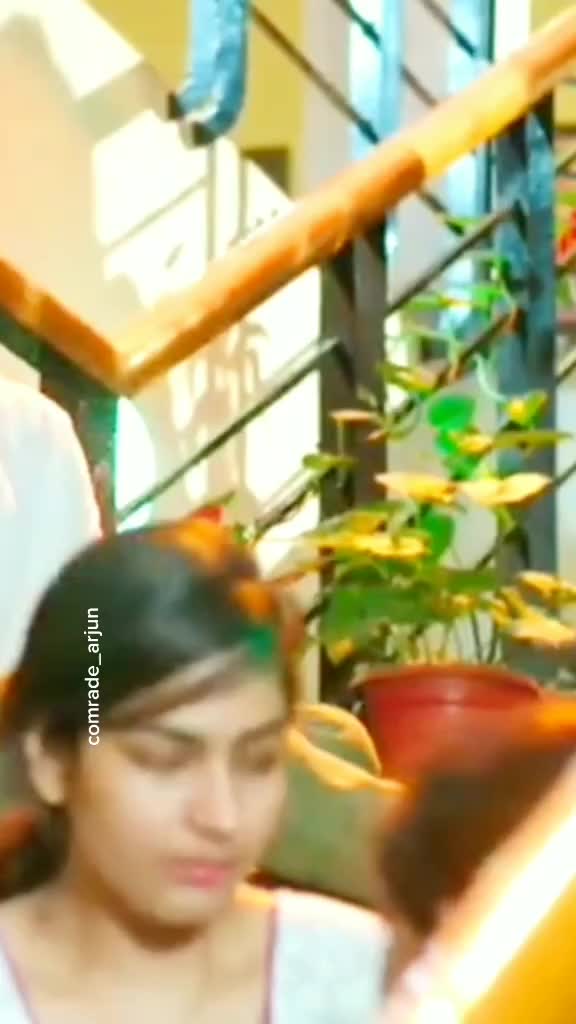 @user50625182028