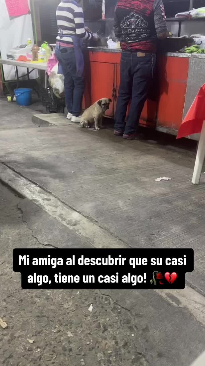 @Jose
