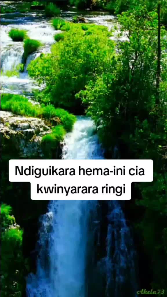 @Mary shii