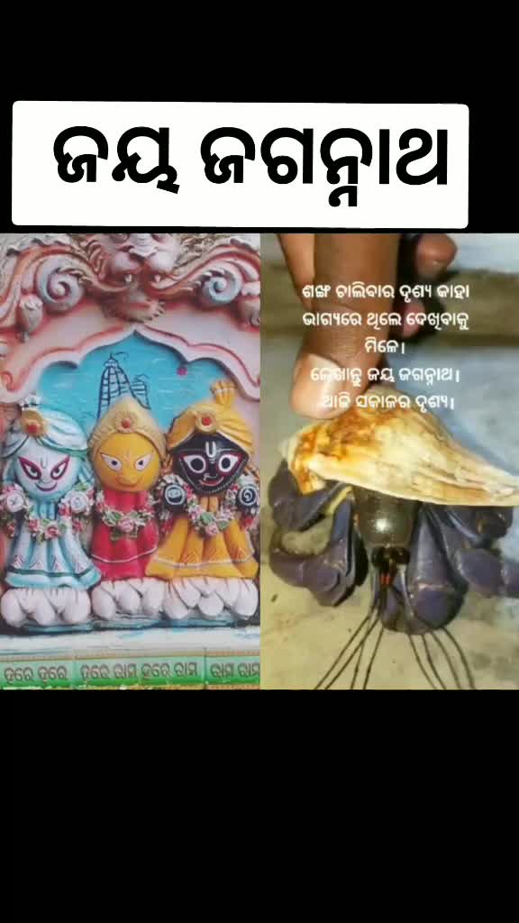 @Rasmiprava sahu