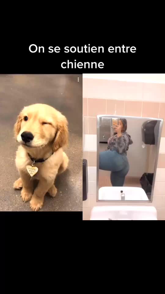 @jesuisunchienlol