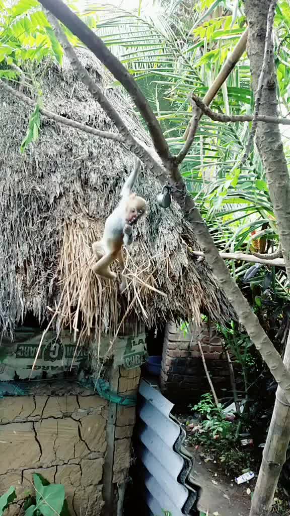 @PRAMOD PANIGRAHI