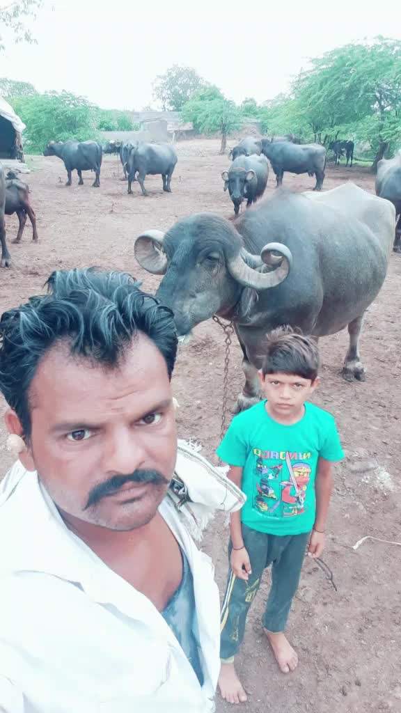@દેપાલ ભાઇ વાલા