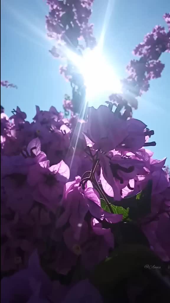 @Idukkikkarii😊