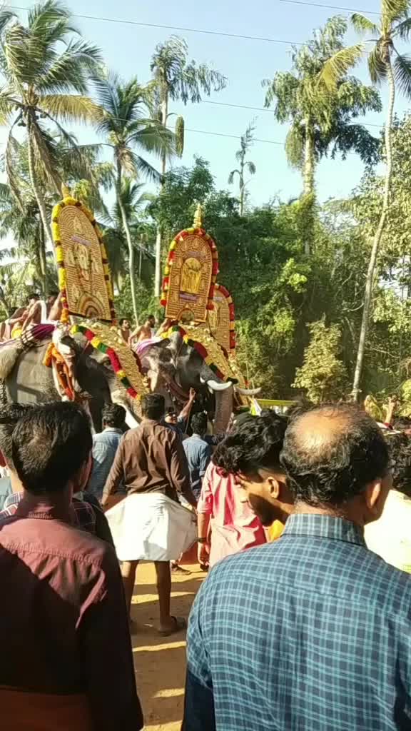 @bharathpmk321