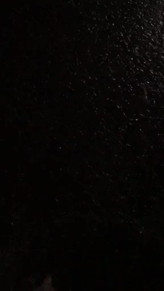 @RHD775