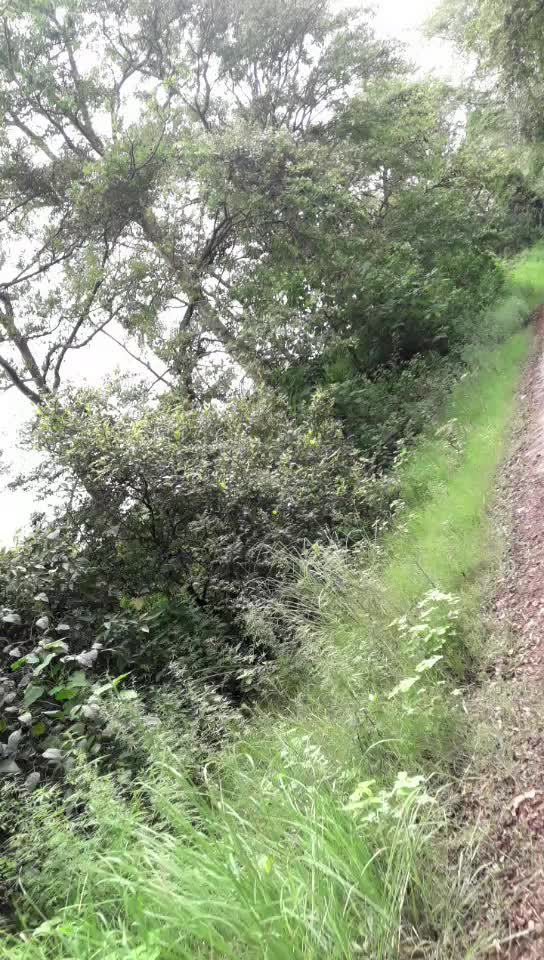 @आयुष कुमार सिहं 🚩🚩