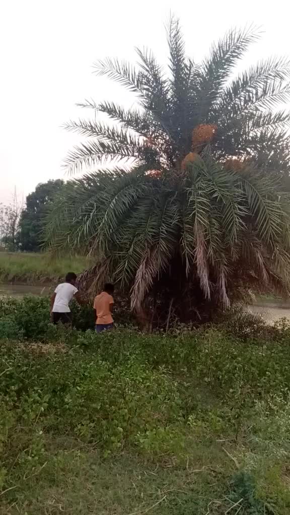 @Laxmi Narayana Laxmi