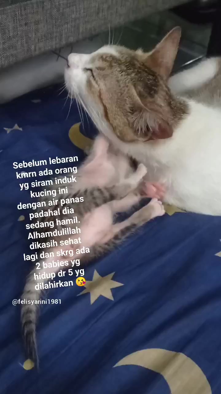 @M. Fajrin