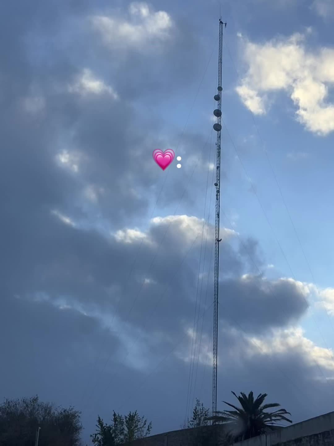 @ℛ𝑜𝓈𝓈𝓎