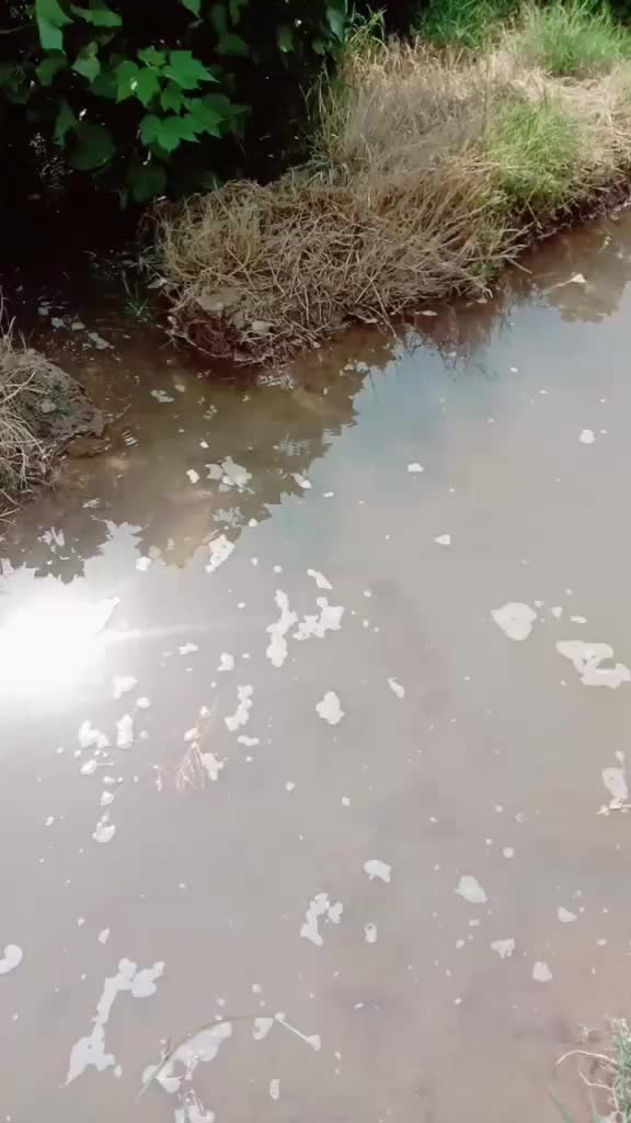 @Rohit. punia