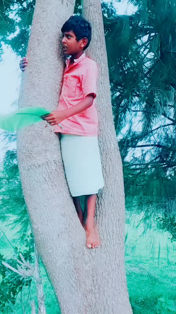 @peddusagar