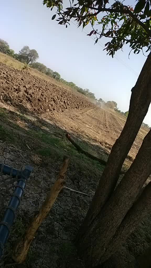 @दिलीप चौधरी जलोद mp