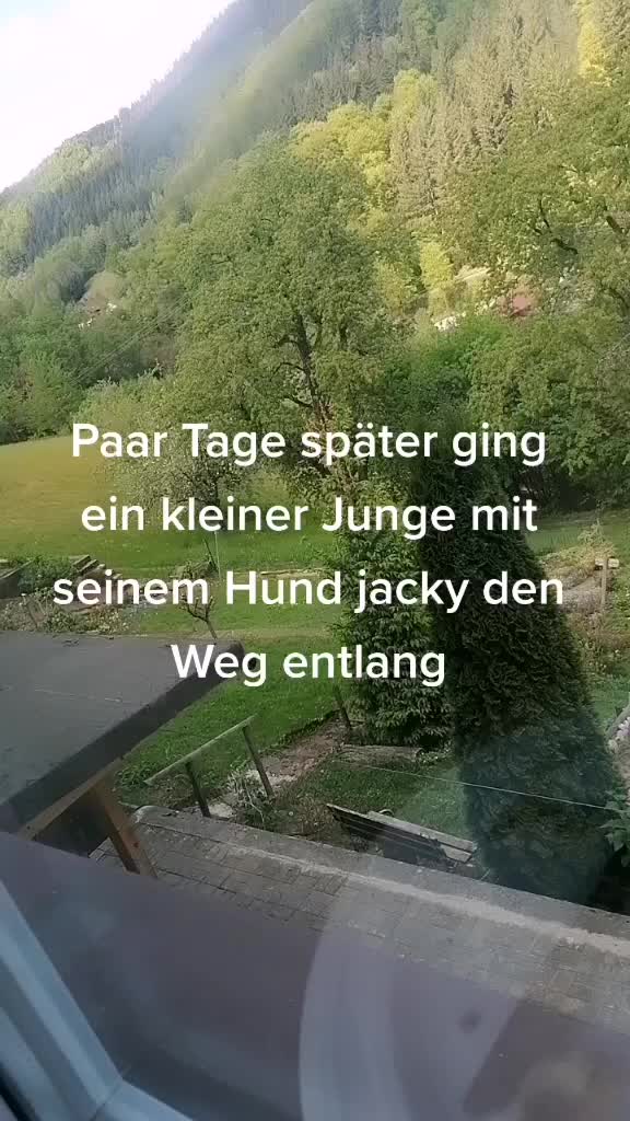 @❤️ Tiere ❤️