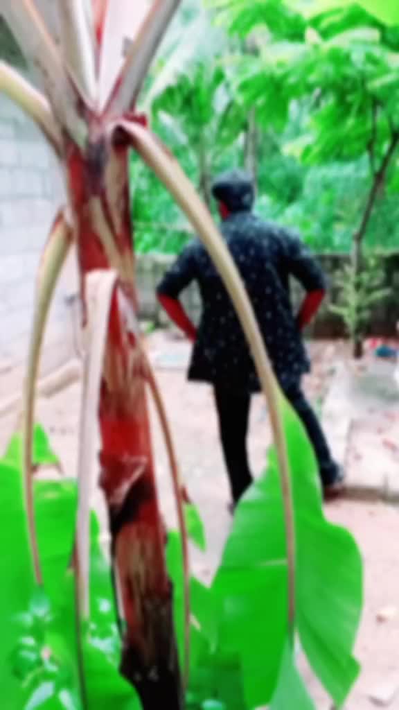 @Sibin Raj