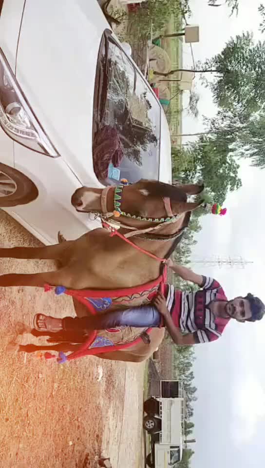 @Vipul Baraiya