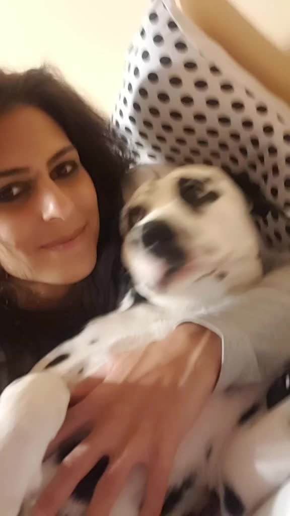 @Letícia Ciaramicoli