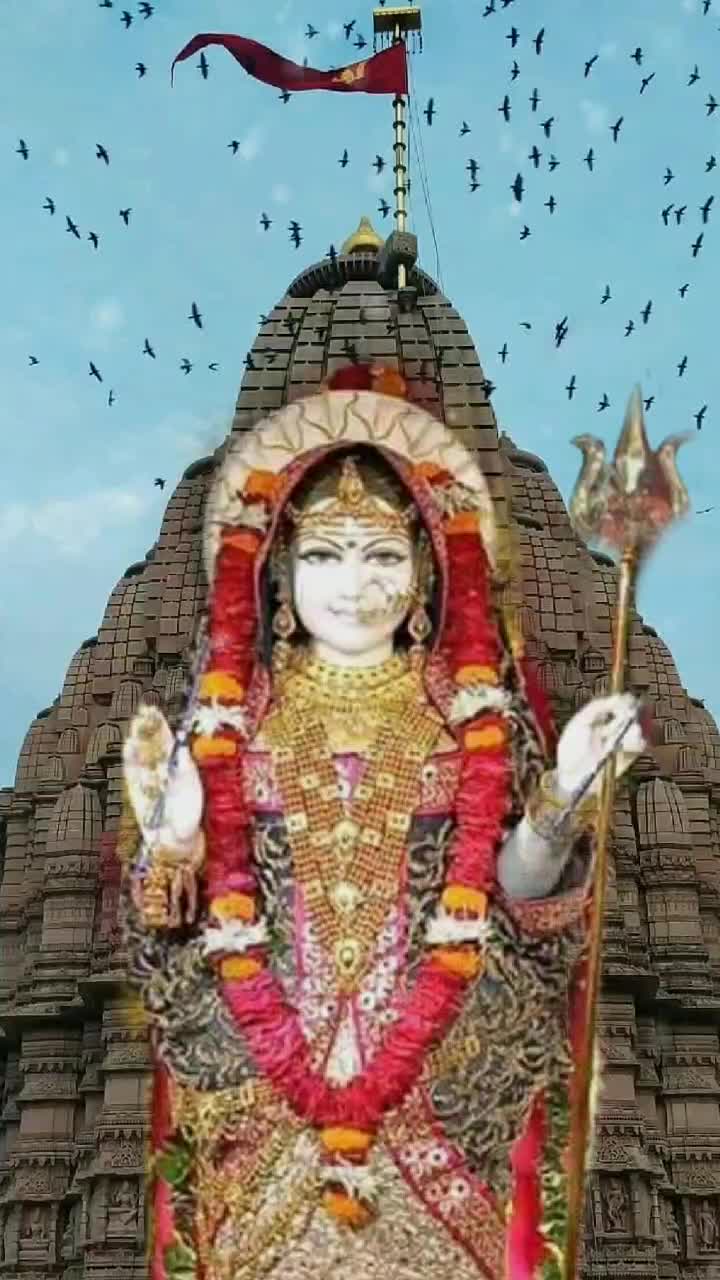 @dhaduk_vivek